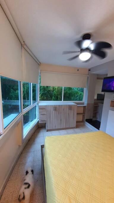 R.501 Estudio Ejecutivo, En El Centro. ปานามาซิตี้ ภายนอก รูปภาพ
